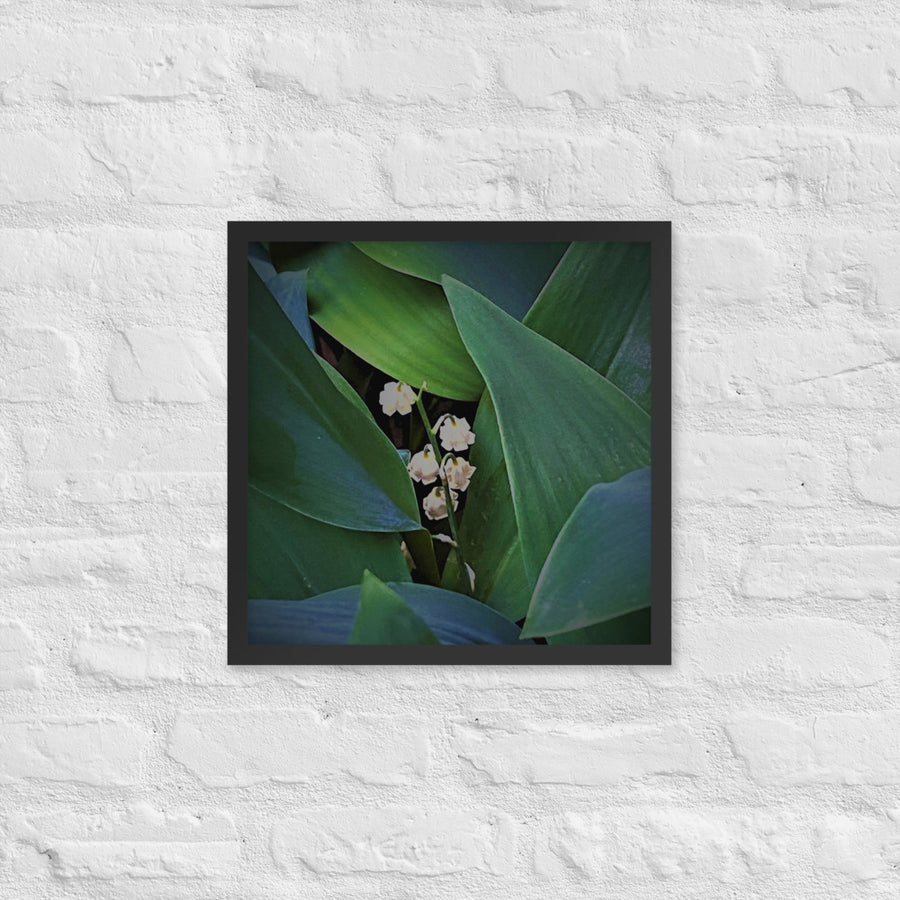 Lily of Valley among foliage - Framed