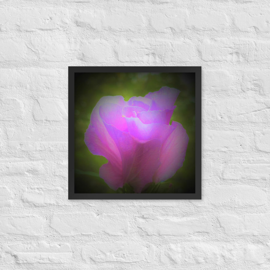 Luminescent tree flower- Framed