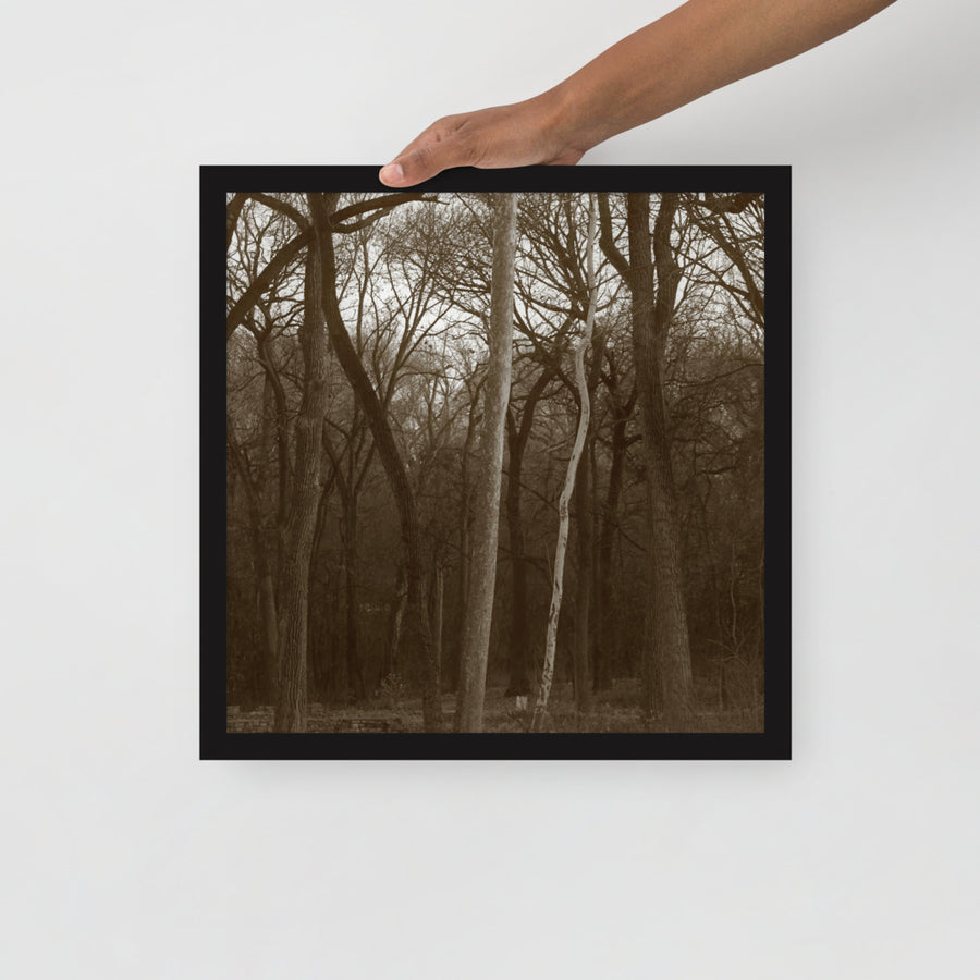 White tree- Framed
