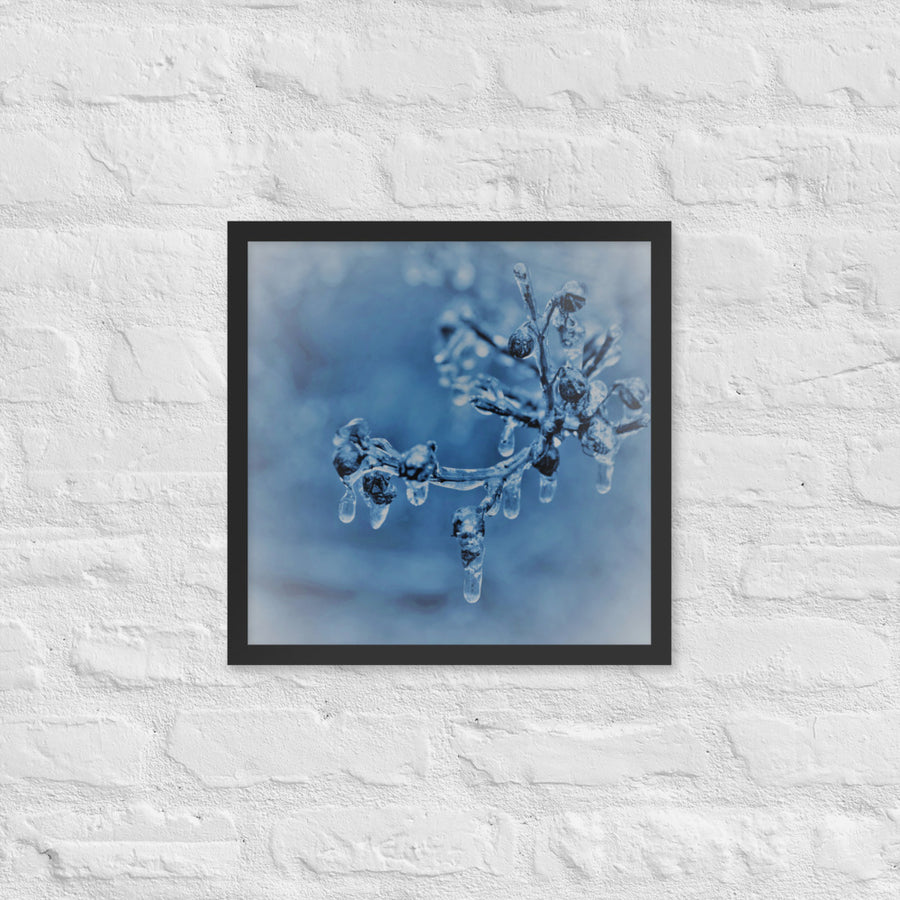 Ice on twigs - Framed
