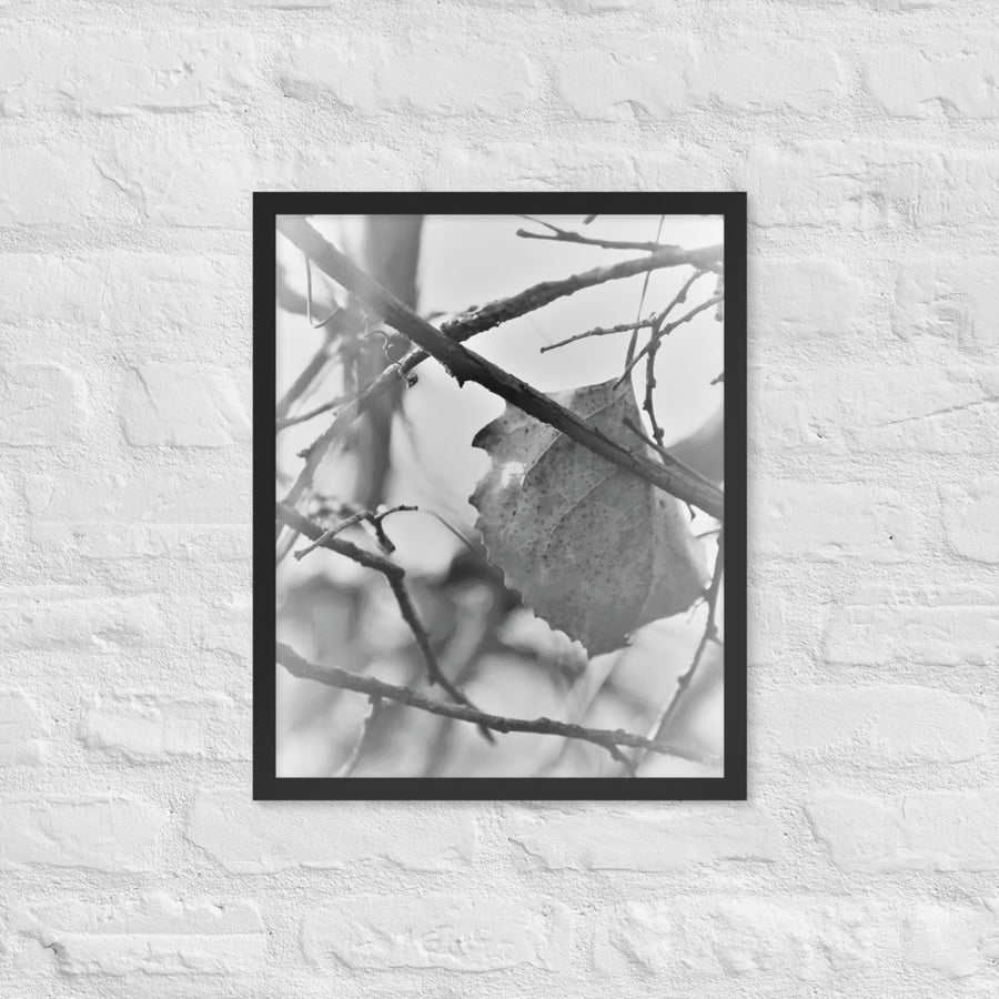 Last leaf on tree - Framed