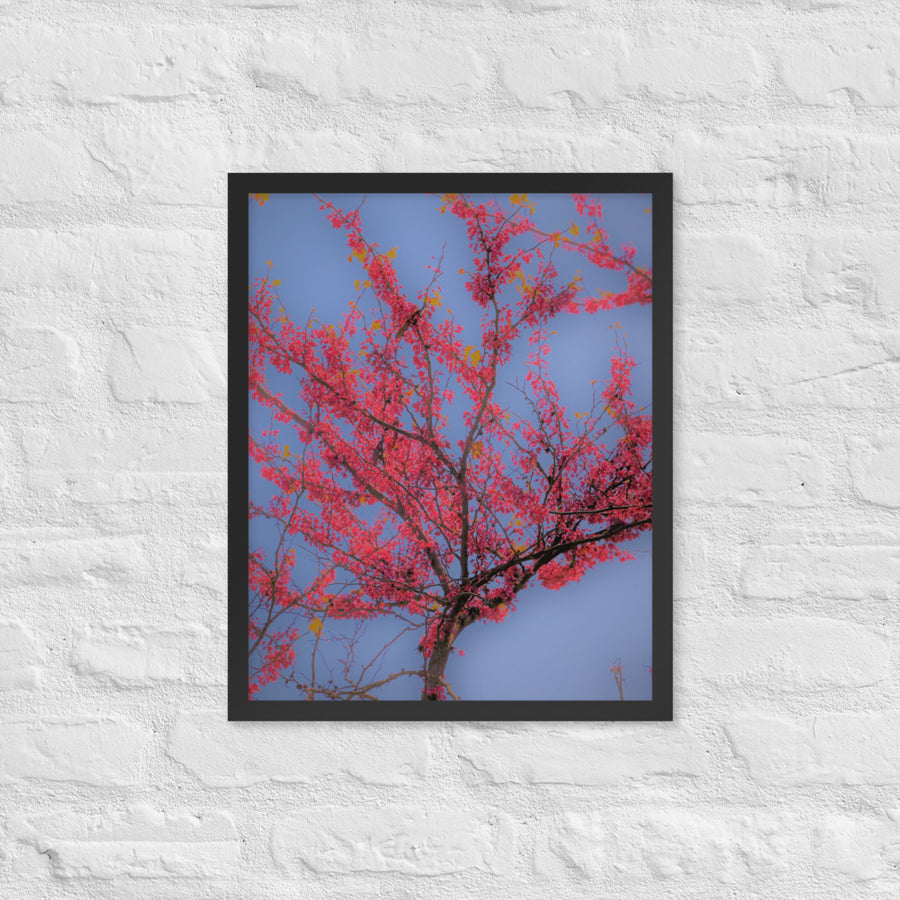 Red leaf tree - Framed
