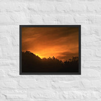 Sunrise over forest - Framed