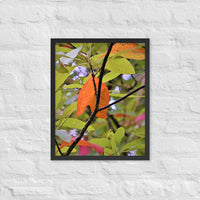 Orange leaf with intersecting branches - Framed