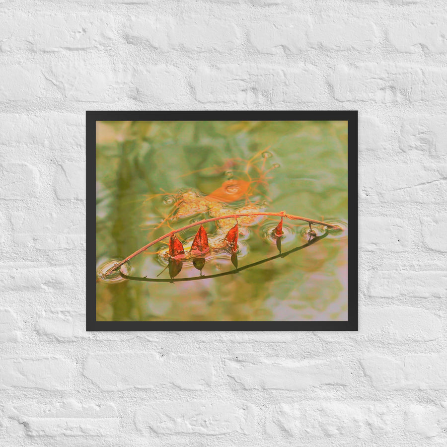Floating leaves on a lake - Framed
