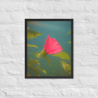 Flower and leaves floating in air - Framed