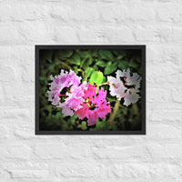 Three flowers - Framed