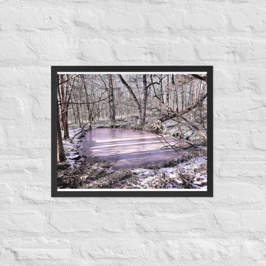 Iced pond - Framed