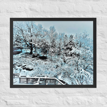 Snow in my backyard- Framed