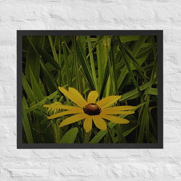 Single yellow flower with friends - Framed