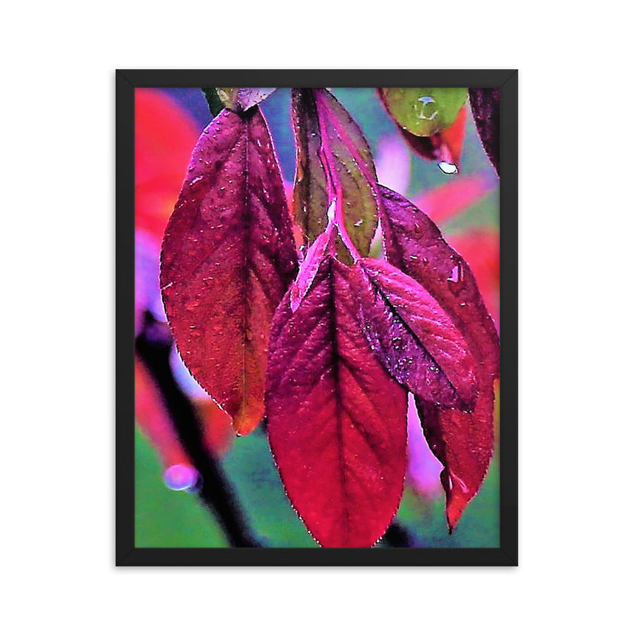Bright red leaves- Framed