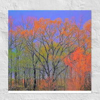 Many colors of Fall - Unframed