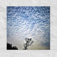 Tree top among clouds - Unframed