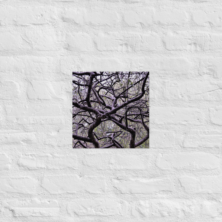 Twisted branches - Unframed