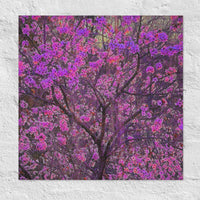 Flowering tree - Unframed
