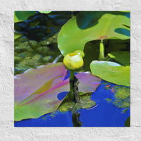 Floating yellow flower - Unframed