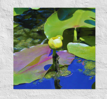 Floating yellow flower - Unframed