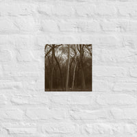 White tree - Unframed