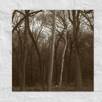 White tree - Unframed