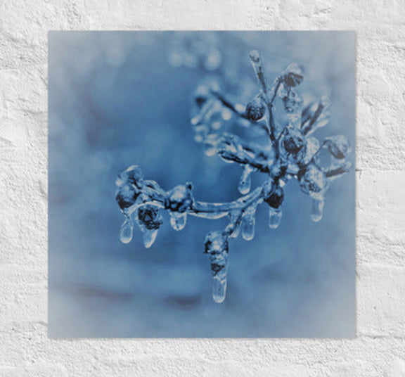 Ice on twigs - Canvas