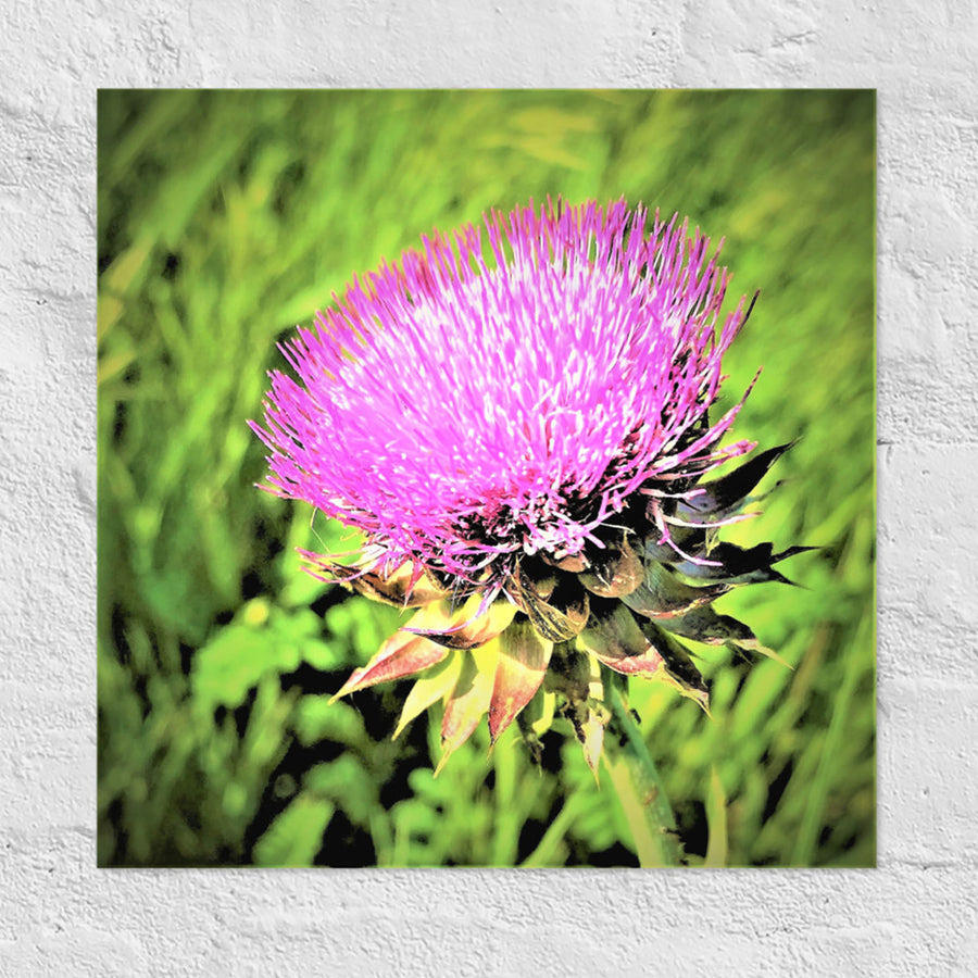 Purple wild flower - Unframed