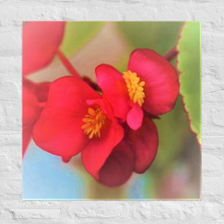 Double red flowers - Unframed