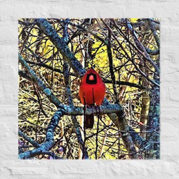 Cardinal in my backyard - Unframed