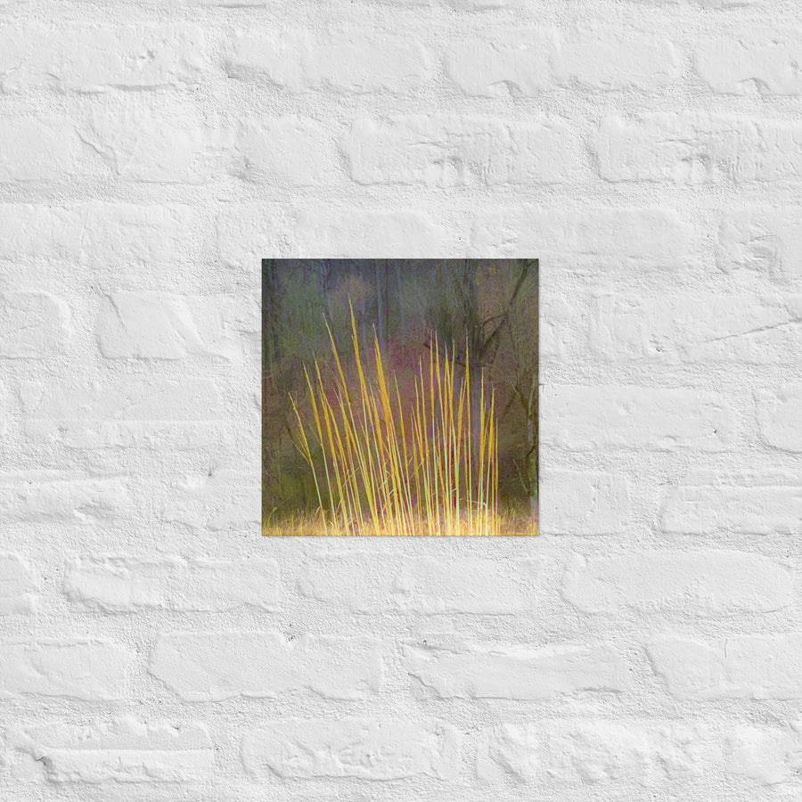 Impressions of tall grasses - Unframed