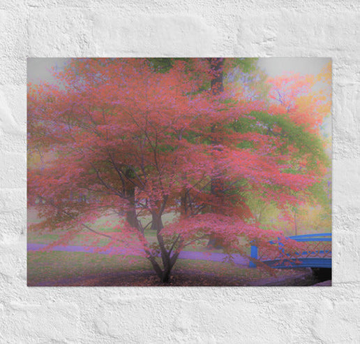 Colorful tree with bridge - Canvas
