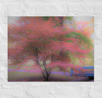 Color tree with bridge - Unframed