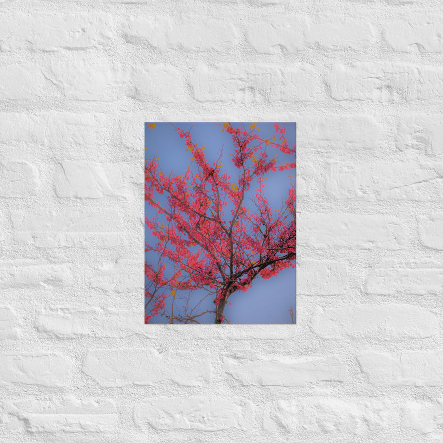 Red leaf tree - Unframed