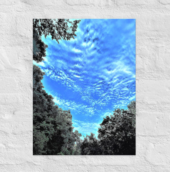 Ascending clouds between trees - Unframed
