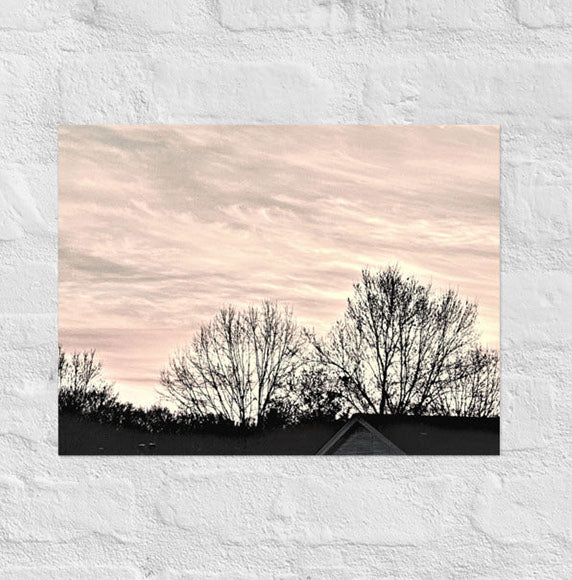 Trees in layered sky - Unframed
