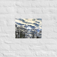 Dramatic clouds over trees - Unframed