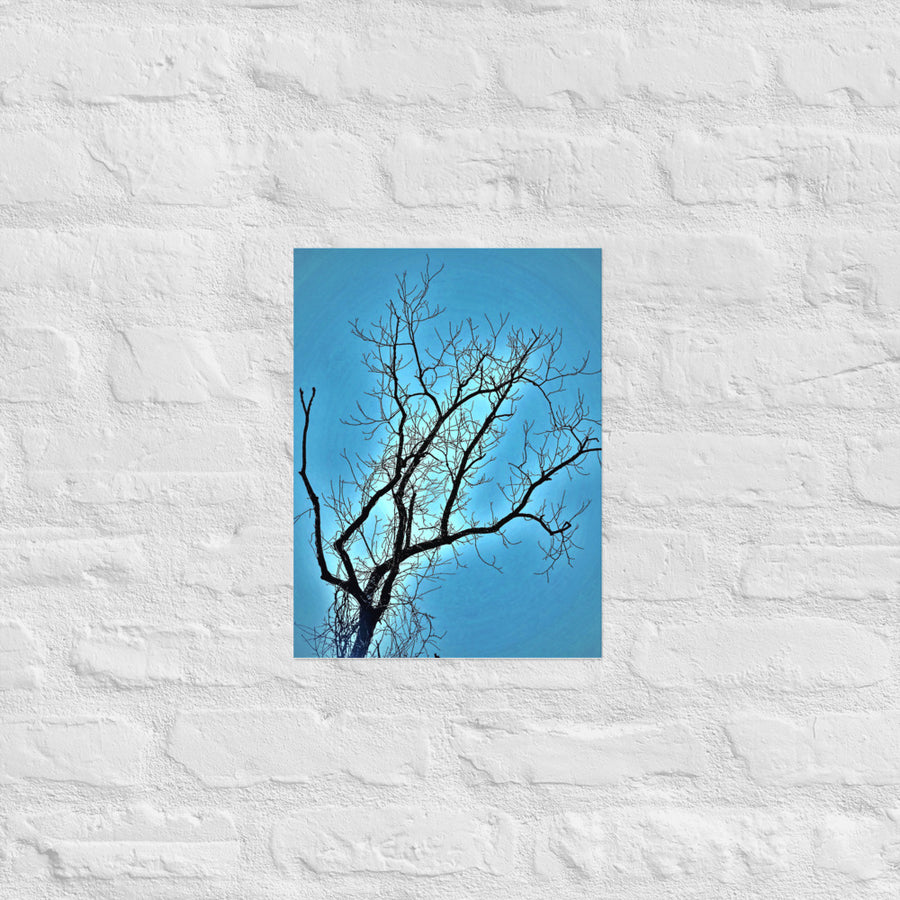 Bare tree against blue sky - Unframed