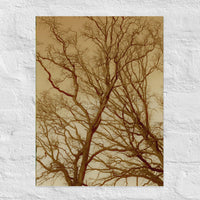 Intersecting trees - Canvas