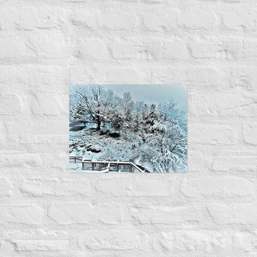 Snow in my backyard- Unframed