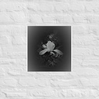 Single white flower in dark- Unframed