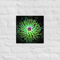 Wild flower sunburst - Unframed
