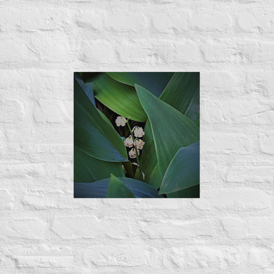 Lily of Valley among foliage - Unframed