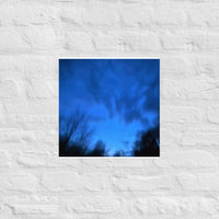 Night clouds above trees - Unframed