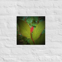 Single red with green - Unframed