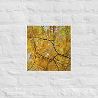 Yellow in branches - Unframed