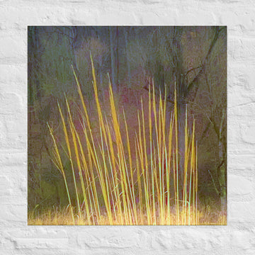 Impressions of tall grasses - Unframed