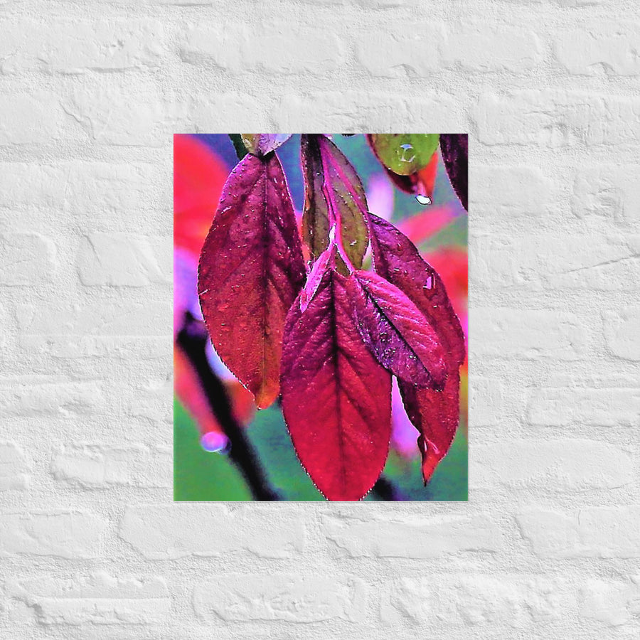 Bright red leaves - Unframed