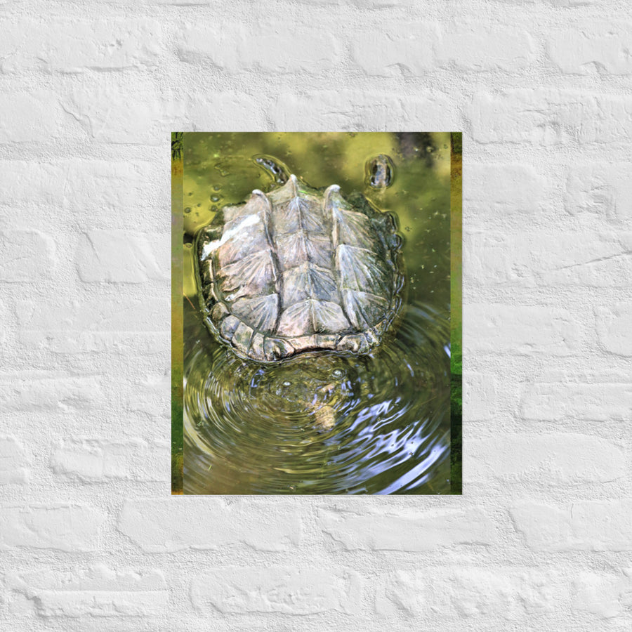 Turtle in water- Unframed