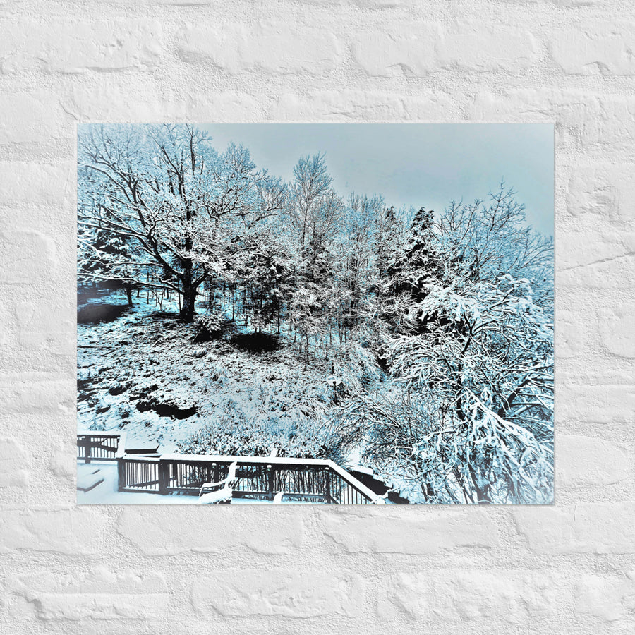 Snow in my backyard- Unframed