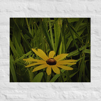 Single yellow flower with friends - Unframed